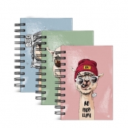 Fun Llama A6 Hardback Spiral Notebook