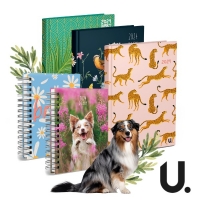 Patterned Diaries