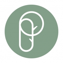 Poplar - Premium Pads Poplar - Premium Pads