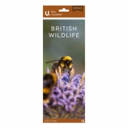 Slim Calendar British Wildlife , 42 x 15cm