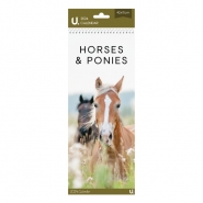 Slim Calendar Horses, 42 x 15c m