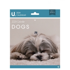 Square Calendar Dogs & Puppies, 28.5 x 28.5cm