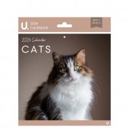 Square Calendar Cats & Kittens, 28.5 x 28.5cm