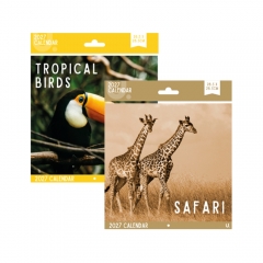 Square Calendar Wild Animals, 2 Asst, 28.5 x 28.5cm Square Calendar Wild Animals, 2 Asst, 28.5 x 28.5cm