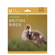 Square Calendar British Birds, 28.5 x 28.5cm