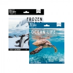 Square Calendar Ocean Life & Frozen World, 2 Asst Square Calendar Ocean Life & Frozen World, 2 Asst