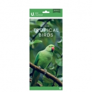 Slim Postal Calendar Tropical Birds, 30 x 15cm