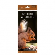Slim Postal Calendar British Wildlife, 30 x 14cm