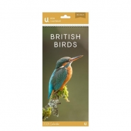 Slim Postal Calendar British Birds, 30 x 14cm