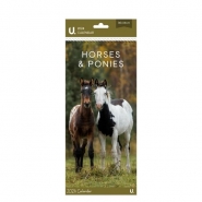 Slim Postal Calendar Horses & Ponies, 30 x 15cm