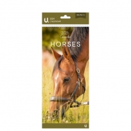 Slim Postal Calendar Horses & Ponies, 30 x 14cm