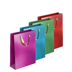 Embossed Metallic Giftbag Large Embossed Metallic Giftbag Large