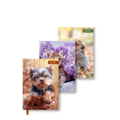 A6 WTV Patterned Spiral Diary Asst 3, Cats & Dogs
