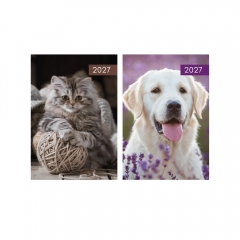 A5 WTV Patterned Diary - Cats & Dogs in CDU A5 WTV Patterned Diary - Cats & Dogs in CDU