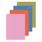 A4 Page a Day Colour Block Diary (Half Page Weekends) CDU A4 Page a Day Colour Block Diary (Half Page Weekends) CDU