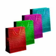 Holographic Bag Large - Red, Green, Blue & Pink 26x36x10cm